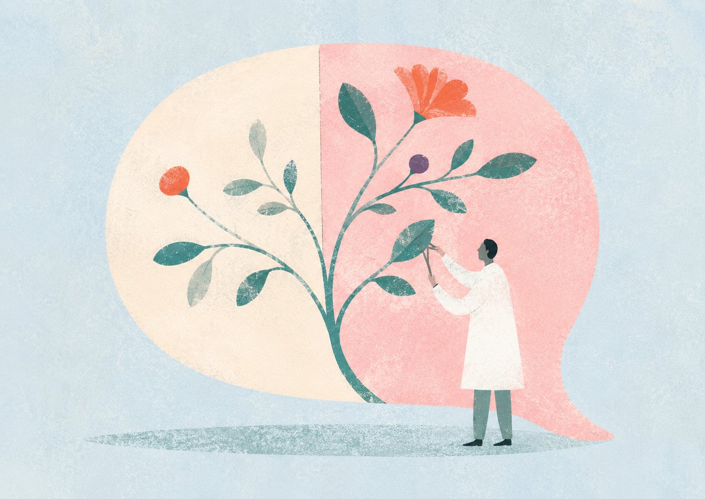 Illustrazione: cosa il medico può dire e non dire online